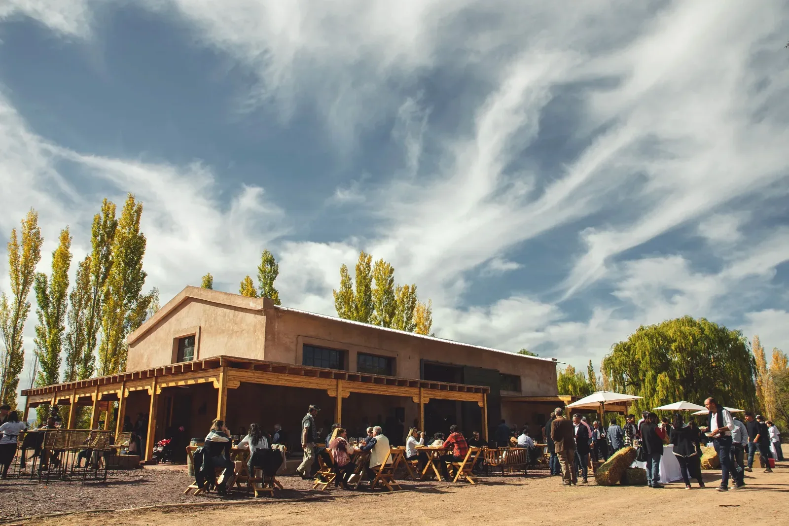 Cara Sur Bodega