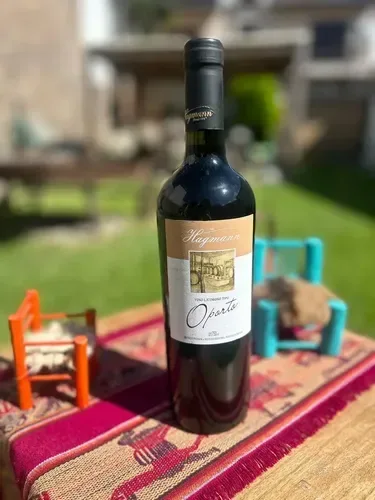 Bodega Hagmann S.R.L.