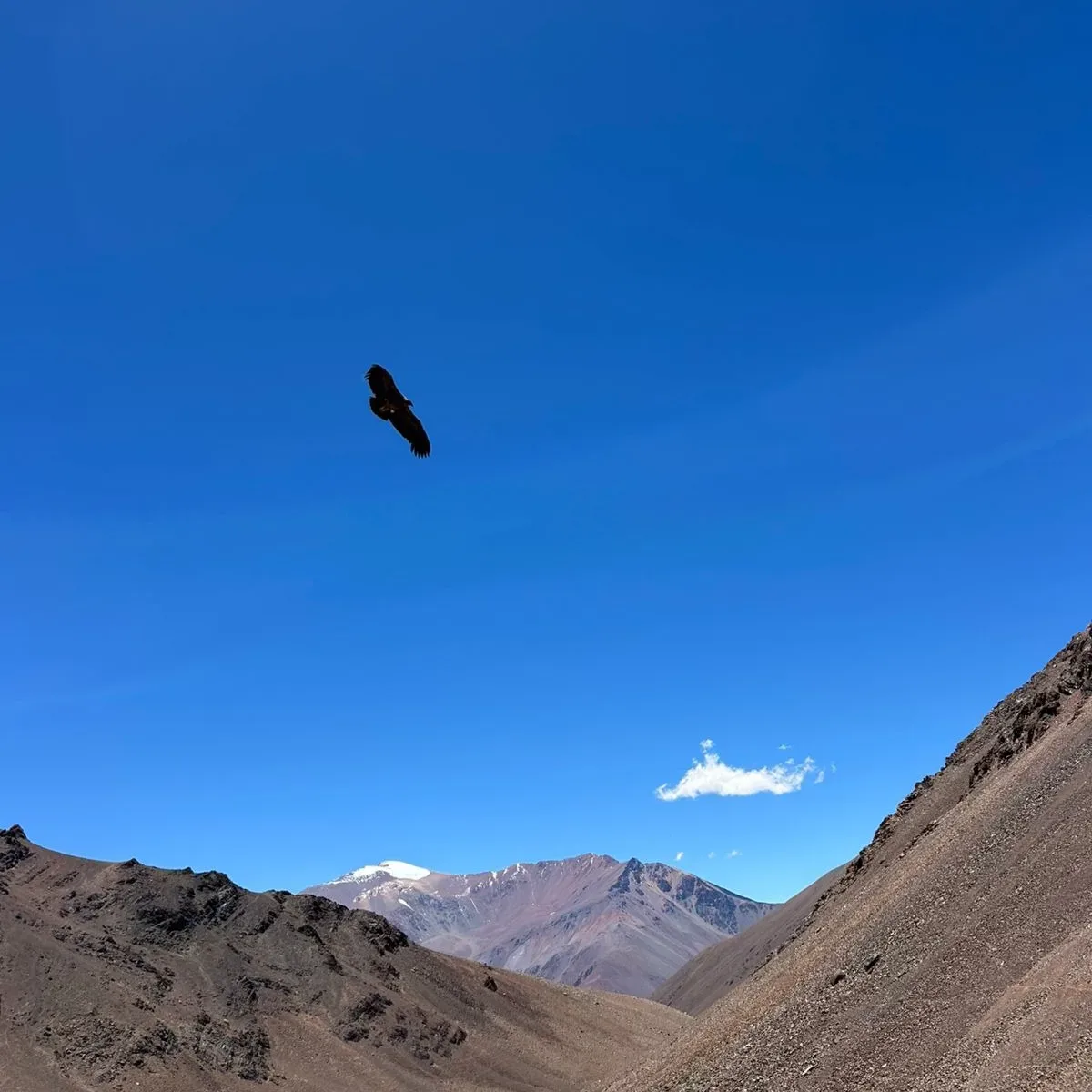 EL RELINCHO TREKKING AVENTURA