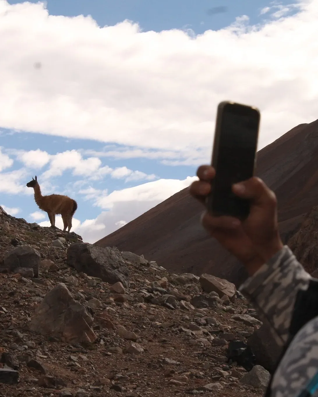 ANDES LÍMITE